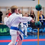 ASKÖ Wiener Karate Landesmeisterschaft 2016 in der Bernoullistraße 9, 1220 Wien