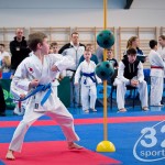 ASKÖ Wiener Karate Landesmeisterschaft 2016 in der Bernoullistraße 9, 1220 Wien