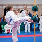 ASKÖ Wiener Karate Landesmeisterschaft 2016 in der Bernoullistraße 9, 1220 Wien