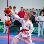 ASKÖ Wiener Karate Landesmeisterschaft 2016 in der Bernoullistraße 9, 1220 Wien