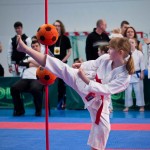 ASKÖ Wiener Karate Landesmeisterschaft 2016 in der Bernoullistraße 9, 1220 Wien