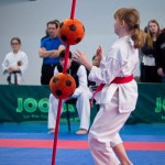 ASKÖ Wiener Karate Landesmeisterschaft 2016 in der Bernoullistraße 9, 1220 Wien