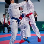 ASKÖ Wiener Karate Landesmeisterschaft 2016 in der Bernoullistraße 9, 1220 Wien