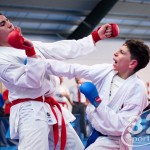 ASKÖ Wiener Karate Landesmeisterschaft 2016 in der Bernoullistraße 9, 1220 Wien