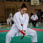 Wiener Karate Landesmeisterschaft 2016 in der in der PAHO-Halle, Jura-Soyfer-Gasse 3, 1100 Wien