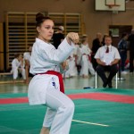 Wiener Karate Landesmeisterschaft 2016 in der in der PAHO-Halle, Jura-Soyfer-Gasse 3, 1100 Wien