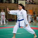 Wiener Karate Landesmeisterschaft 2016 in der in der PAHO-Halle, Jura-Soyfer-Gasse 3, 1100 Wien