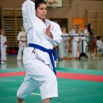 Wiener Karate Landesmeisterschaft 2016 in der in der PAHO-Halle, Jura-Soyfer-Gasse 3, 1100 Wien