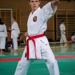 Wiener Karate Landesmeisterschaft 2016 in der in der PAHO-Halle, Jura-Soyfer-Gasse 3, 1100 Wien