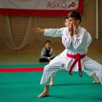 Wiener Karate Landesmeisterschaft 2016 in der in der PAHO-Halle, Jura-Soyfer-Gasse 3, 1100 Wien