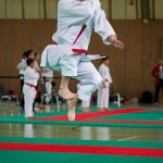 Wiener Karate Landesmeisterschaft 2016 in der in der PAHO-Halle, Jura-Soyfer-Gasse 3, 1100 Wien