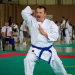 Wiener Karate Landesmeisterschaft 2016 in der in der PAHO-Halle, Jura-Soyfer-Gasse 3, 1100 Wien