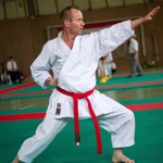 Wiener Karate Landesmeisterschaft 2016 in der in der PAHO-Halle, Jura-Soyfer-Gasse 3, 1100 Wien