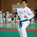 Wiener Karate Landesmeisterschaft 2016 in der in der PAHO-Halle, Jura-Soyfer-Gasse 3, 1100 Wien