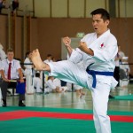 Wiener Karate Landesmeisterschaft 2016 in der in der PAHO-Halle, Jura-Soyfer-Gasse 3, 1100 Wien