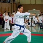 Wiener Karate Landesmeisterschaft 2016 in der in der PAHO-Halle, Jura-Soyfer-Gasse 3, 1100 Wien