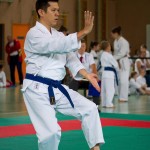 Wiener Karate Landesmeisterschaft 2016 in der in der PAHO-Halle, Jura-Soyfer-Gasse 3, 1100 Wien