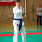 Wiener Karate Landesmeisterschaft 2016 in der in der PAHO-Halle, Jura-Soyfer-Gasse 3, 1100 Wien