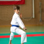 Wiener Karate Landesmeisterschaft 2016 in der in der PAHO-Halle, Jura-Soyfer-Gasse 3, 1100 Wien