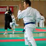 Wiener Karate Landesmeisterschaft 2016 in der in der PAHO-Halle, Jura-Soyfer-Gasse 3, 1100 Wien