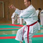 Wiener Karate Landesmeisterschaft 2016 in der in der PAHO-Halle, Jura-Soyfer-Gasse 3, 1100 Wien