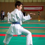 Wiener Karate Landesmeisterschaft 2016 in der in der PAHO-Halle, Jura-Soyfer-Gasse 3, 1100 Wien