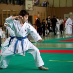 Wiener Karate Landesmeisterschaft 2016 in der in der PAHO-Halle, Jura-Soyfer-Gasse 3, 1100 Wien