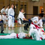 Wiener Karate Landesmeisterschaft 2016 in der in der PAHO-Halle, Jura-Soyfer-Gasse 3, 1100 Wien