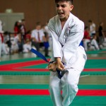 Wiener Karate Landesmeisterschaft 2016 in der in der PAHO-Halle, Jura-Soyfer-Gasse 3, 1100 Wien