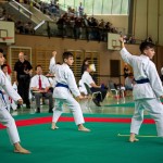 Wiener Karate Landesmeisterschaft 2016 in der in der PAHO-Halle, Jura-Soyfer-Gasse 3, 1100 Wien