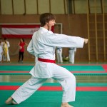 Wiener Karate Landesmeisterschaft 2016 in der in der PAHO-Halle, Jura-Soyfer-Gasse 3, 1100 Wien