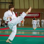 Wiener Karate Landesmeisterschaft 2016 in der in der PAHO-Halle, Jura-Soyfer-Gasse 3, 1100 Wien