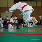 Wiener Karate Landesmeisterschaft 2016 in der in der PAHO-Halle, Jura-Soyfer-Gasse 3, 1100 Wien