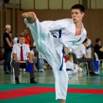 Wiener Karate Landesmeisterschaft 2016 in der in der PAHO-Halle, Jura-Soyfer-Gasse 3, 1100 Wien