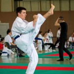 Wiener Karate Landesmeisterschaft 2016 in der in der PAHO-Halle, Jura-Soyfer-Gasse 3, 1100 Wien