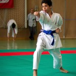 Wiener Karate Landesmeisterschaft 2016 in der in der PAHO-Halle, Jura-Soyfer-Gasse 3, 1100 Wien