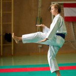 Wiener Karate Landesmeisterschaft 2016 in der in der PAHO-Halle, Jura-Soyfer-Gasse 3, 1100 Wien