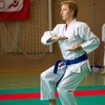 Wiener Karate Landesmeisterschaft 2016 in der in der PAHO-Halle, Jura-Soyfer-Gasse 3, 1100 Wien