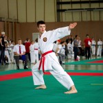 Wiener Karate Landesmeisterschaft 2016 in der in der PAHO-Halle, Jura-Soyfer-Gasse 3, 1100 Wien