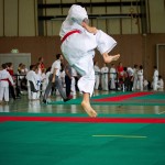 Wiener Karate Landesmeisterschaft 2016 in der in der PAHO-Halle, Jura-Soyfer-Gasse 3, 1100 Wien