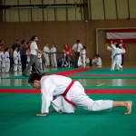 Wiener Karate Landesmeisterschaft 2016 in der in der PAHO-Halle, Jura-Soyfer-Gasse 3, 1100 Wien