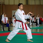 Wiener Karate Landesmeisterschaft 2016 in der in der PAHO-Halle, Jura-Soyfer-Gasse 3, 1100 Wien