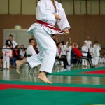 Wiener Karate Landesmeisterschaft 2016 in der in der PAHO-Halle, Jura-Soyfer-Gasse 3, 1100 Wien