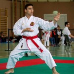 Wiener Karate Landesmeisterschaft 2016 in der in der PAHO-Halle, Jura-Soyfer-Gasse 3, 1100 Wien