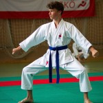 Wiener Karate Landesmeisterschaft 2016 in der in der PAHO-Halle, Jura-Soyfer-Gasse 3, 1100 Wien