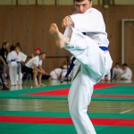 Wiener Karate Landesmeisterschaft 2016 in der in der PAHO-Halle, Jura-Soyfer-Gasse 3, 1100 Wien