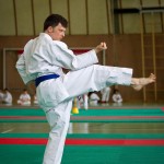 Wiener Karate Landesmeisterschaft 2016 in der in der PAHO-Halle, Jura-Soyfer-Gasse 3, 1100 Wien