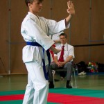 Wiener Karate Landesmeisterschaft 2016 in der in der PAHO-Halle, Jura-Soyfer-Gasse 3, 1100 Wien