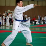 Wiener Karate Landesmeisterschaft 2016 in der in der PAHO-Halle, Jura-Soyfer-Gasse 3, 1100 Wien