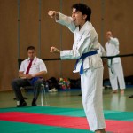 Wiener Karate Landesmeisterschaft 2016 in der in der PAHO-Halle, Jura-Soyfer-Gasse 3, 1100 Wien